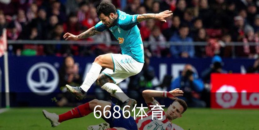 了解6686体育